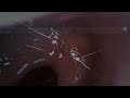 1986 Titanic Wreckage Footage (Analog Horror) Thalassophobia