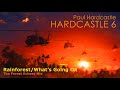 Paul Hardcastle - Rainforest/What’s Going On (The Forest Echoes Mix)