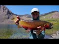 Fly Fishing the BEST LAKE IN THE WORLD?? (Big Trout Everywhere)