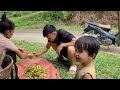 Harvest fruit to sell. Gardening. daughter burned down the house | Tieu Tieu Ca