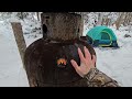 Very Cold Winter Camping At The Tank