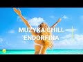 Relaksujące Rytmy - 51 Minut Muzyki Chill - ENDORFINA