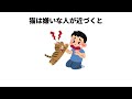 猫の雑学 #雑学 #猫 #不思議