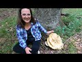 Michigan Mushroom Hunt - Mushrooms That Can Be Harvested In July