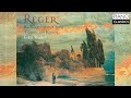 Reger: Bach Variations, Op. 81 & Träume am Kamin
