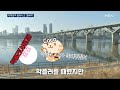 꽁꽁얼어붙은 한강위로 악플러(서은경)이 자빠져 기절합니다. (feat. 나쁜 악플러를 해치려고 온 Coco(🐱))