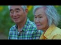 秦 基博 - 「ひまわりの約束」 Music Video