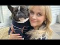 Why Reese Witherspoon Can't Live Without Her Dogs