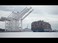 Timelapse video: Ship that caused deadly Baltimore bridge collapse returned to port
