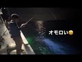 イカメタル 高知沖で夜遊び 美来丸