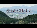 Exploring Japan | Beppu, Oita | Aquarium, Monkey Park, and Famous Fried Chicken