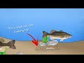 INTERMEDIATE GUIDE to BASS FISHING: 3A - Carolina Rig