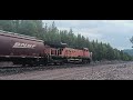 Eastbound empty Unit Grainer trying to beat the Westbound Empire Builder into Belton Siding