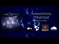 Achieved Divinity - Tribal Void [ADM-DS002]