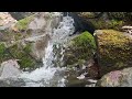 Gurgling Mountain Stream - Relax - Refocus