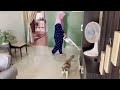 Rutinitas ibu rumah tangga yang Rajin || beberes rumah,masak sarapan|| Video motivasi