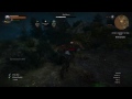 The Witcher 3 - Royal Wyvern Fight (Death March)