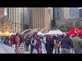 Vibrant Celebrations at Trinbago 🇹🇹 Toronto Festival 🌍🎶