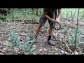 How to Catch a Rat Snake