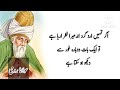 Aqwal e Zareen Urdu | golden urdu word | Islamic quote | basic urdu word | Hidayt K Sitary