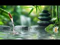 Healing Bamboo Water Fountain 24/7, Relaxing Music, Nature Sounds, Meditation Music