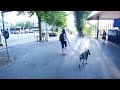 ⁴ᴷ Lucerne, SWITZERLAND 🇨🇭 - A Walking, Main Train Station, to the Downtown (HDR VIDEO)