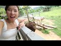 48 hours in Thailand🇹🇭  You Do Not Know About- Pitsanulok (พิษณุโลก)