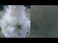 EcoRocket: Episode 19 - Underwater Rocket Engine Test