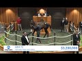 Not This Time colt sells for $3,400,000 at The Saratoga Sale (2024)