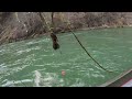 Steelhead Fishing | Cowlitz River | Blue Creek 2/2/2023. Bobber Doggin' Cured Eggs & Soft Beads.