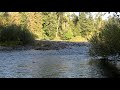 Oregon Nature Sounds - Clackamas River