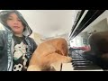 Dog Plays Piano!!