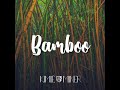 Bamboo