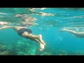 Snorkeling at the phi phi Islands 🤿 #thailand #snorkeling #travel #beach #sea
