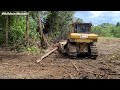 The Best Skill of Dozer Operator Uproot a Lot of Huge Trees Easily Using CAT D7R Bulldozer