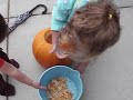 A couple of pumpkins gutting some pumpkins!!