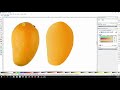 Inkscape Tutorial | How to use the Gradient Mesh Tool