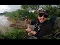 Multi-Species Method Feeder Fishing !