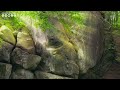 Calming Hang Drum Music for Relaxation, Reduce Stress, Anxiety & Depression • Sleep music #7