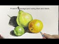 Fruits in Colour Pencil