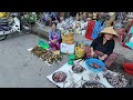Quá trời nhiều Cá Xứ rừng TRÀM CHIM chợ Tam Nông - Du lịch vắng tanh khách đi