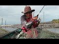 Mancing ikan sembilang babon di laut || Monster catfish fishing || catfish @JEJAK_ARTA