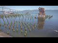 4K City Walks - Walk Astoria Riverwalk Oregon - Virtual Travel Walking Trails for Treadmill Scenery