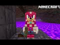 All References in the Minecraft x Sonic Texture Pack