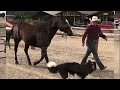 Compilation of me riding roughstock and other videos from this year