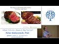 AHS17 What if It's ALL Been a Big Fat Lie? - Peter Ballerstedt