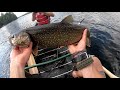 Lake trout on light tackle in a canoe! - Silent lake camping 2020