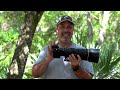 Nikon Z6iii Review For Wildlife And Bird Photographers (First Look Review!)