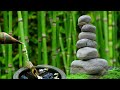 Relaxing Bamboo Water Fountain Sounds with Piano [3 hours Tranquil Flows]