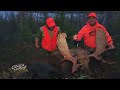20 Moose Hunts in 20 Minutes! (ULTIMATE Moose Hunting Compilation) | BEST OF